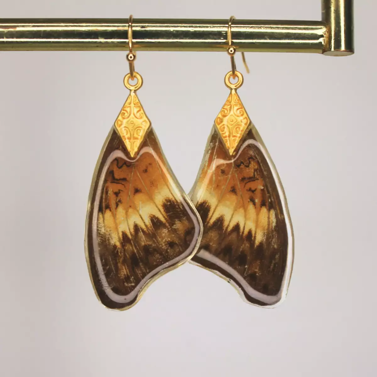 Ailes de Papillon Dorées